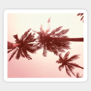 Palmtree pink Sticker